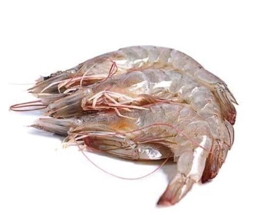 Langostino Crudo Blanco Salvaje 22P apx. 2 Kgs. Apx
